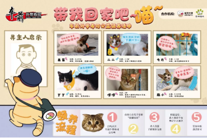 5.10 车前招商软文11455.png